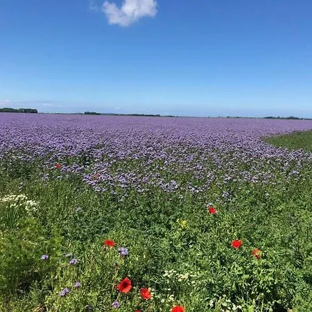 At The Harbor, No 24 Holiday home *